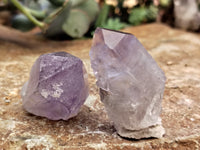 Natural Jacaranda Amethyst Single Quartz Crystals x 24 from Mumbwa, Zambia