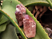 Natural Red Hematoid Quartz Crystals x 35 From Karoi, Zimbabwe