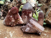 Natural Red Hematoid Quartz Crystals x 35 From Karoi, Zimbabwe