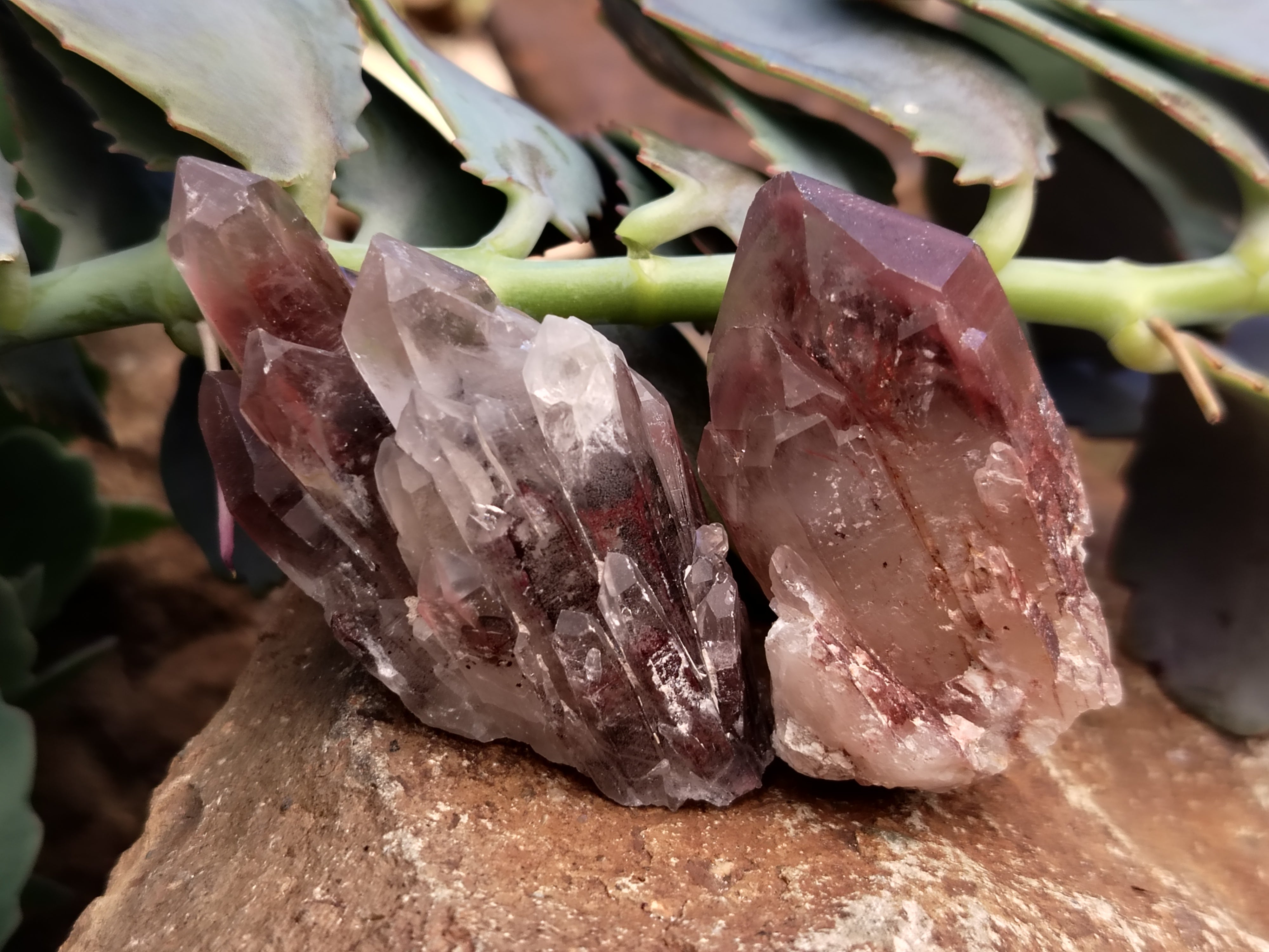 Natural Red Hematoid Quartz Crystals x 35 From Karoi, Zimbabwe