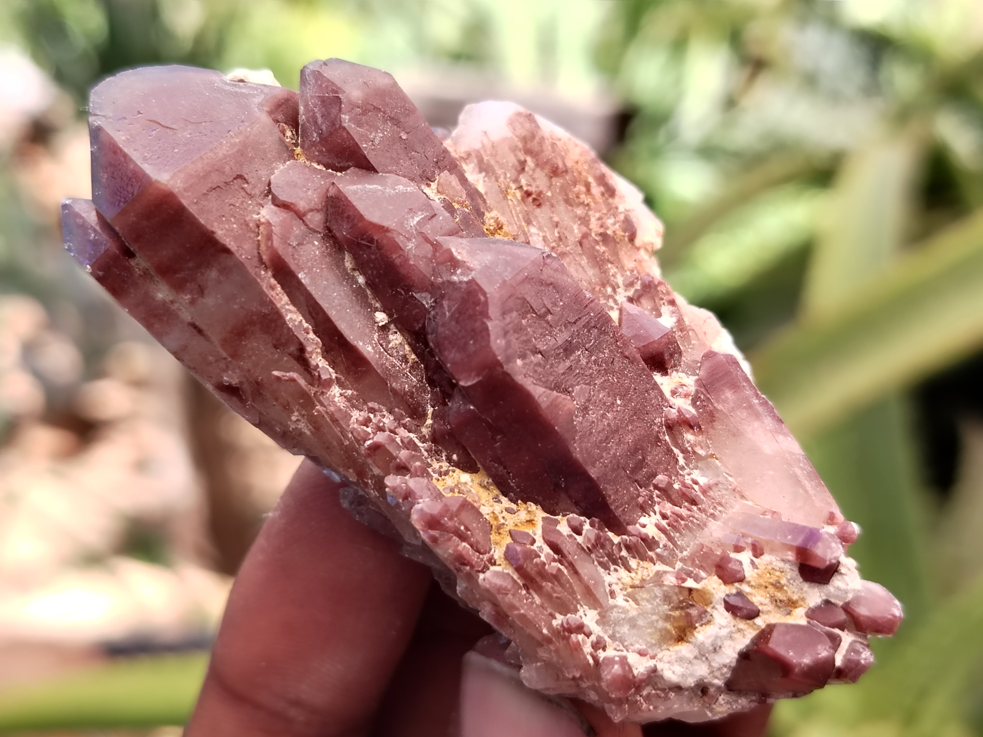 Natural Red Hematoid Quartz Crystals x 35 From Karoi, Zimbabwe