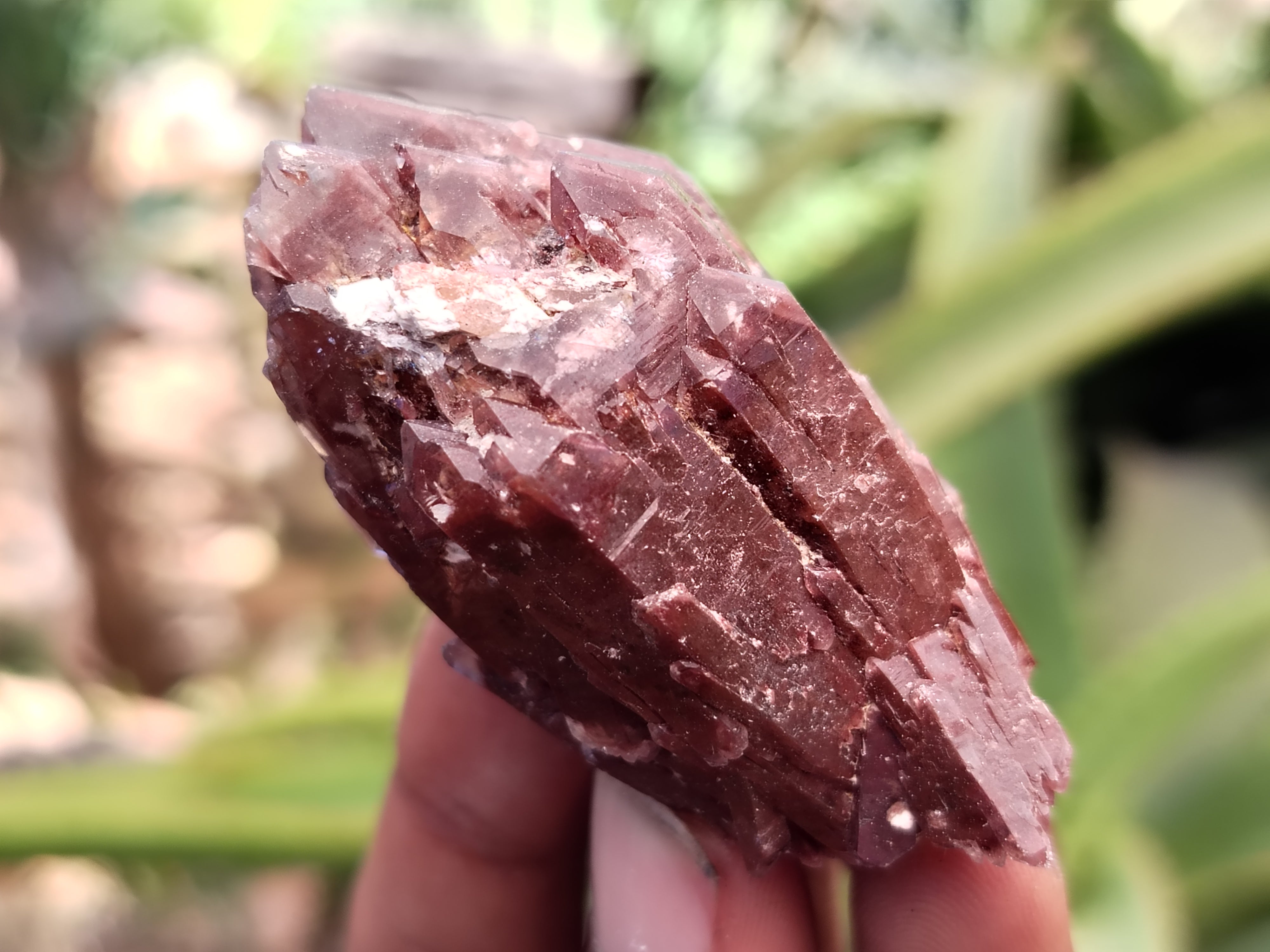 Natural Red Hematoid Quartz Crystals x 35 From Karoi, Zimbabwe