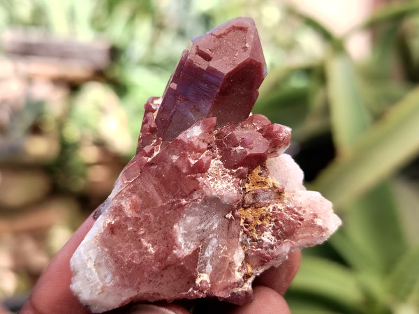 Natural Red Hematoid Quartz Crystals x 35 From Karoi, Zimbabwe