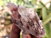 Natural Red Hematoid Quartz Crystals x 35 From Karoi, Zimbabwe