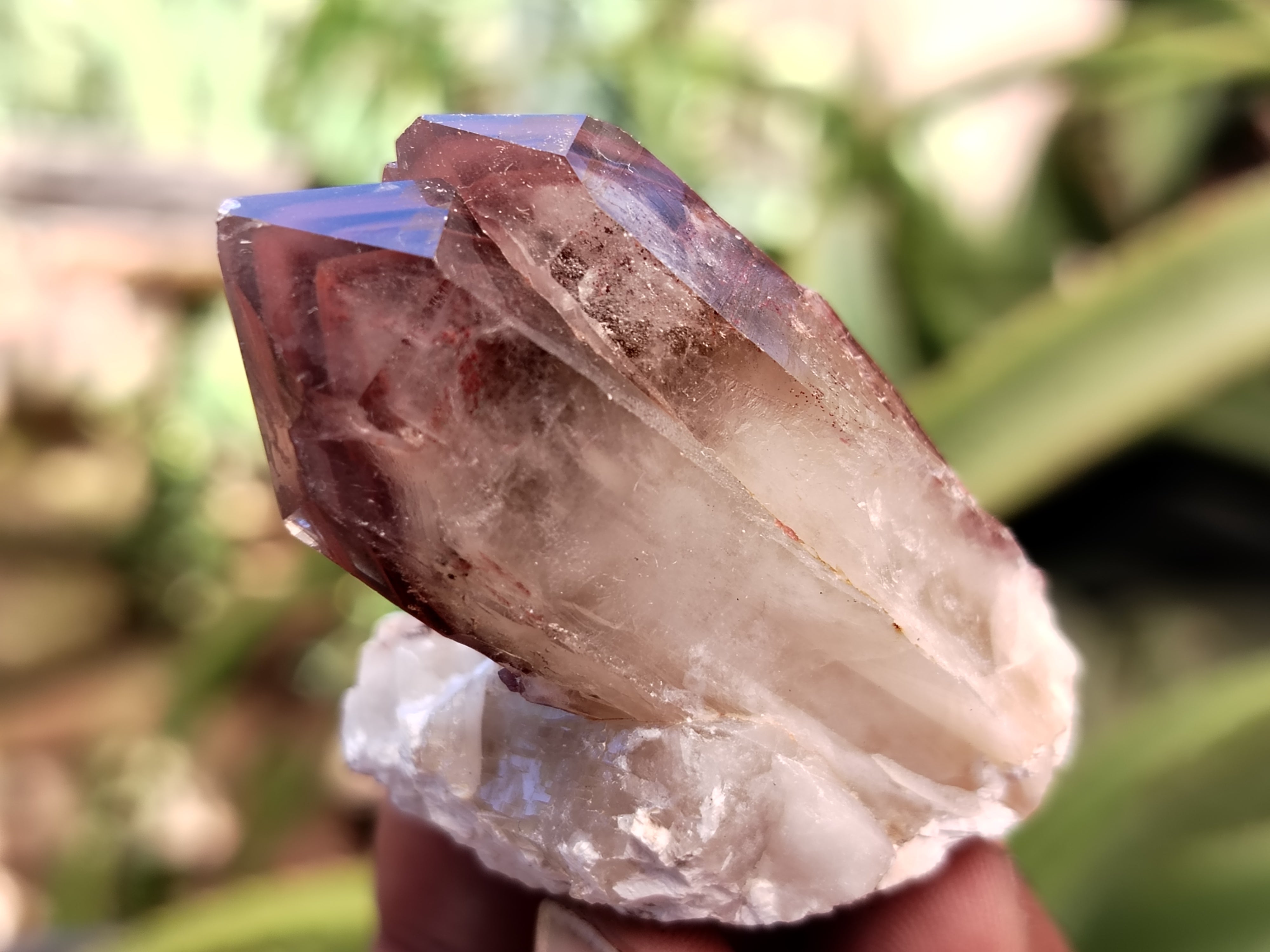 Natural Red Hematoid Quartz Crystals x 35 From Karoi, Zimbabwe