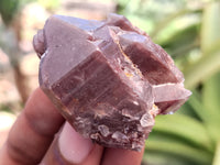 Natural Red Hematoid Quartz Crystals x 35 From Karoi, Zimbabwe