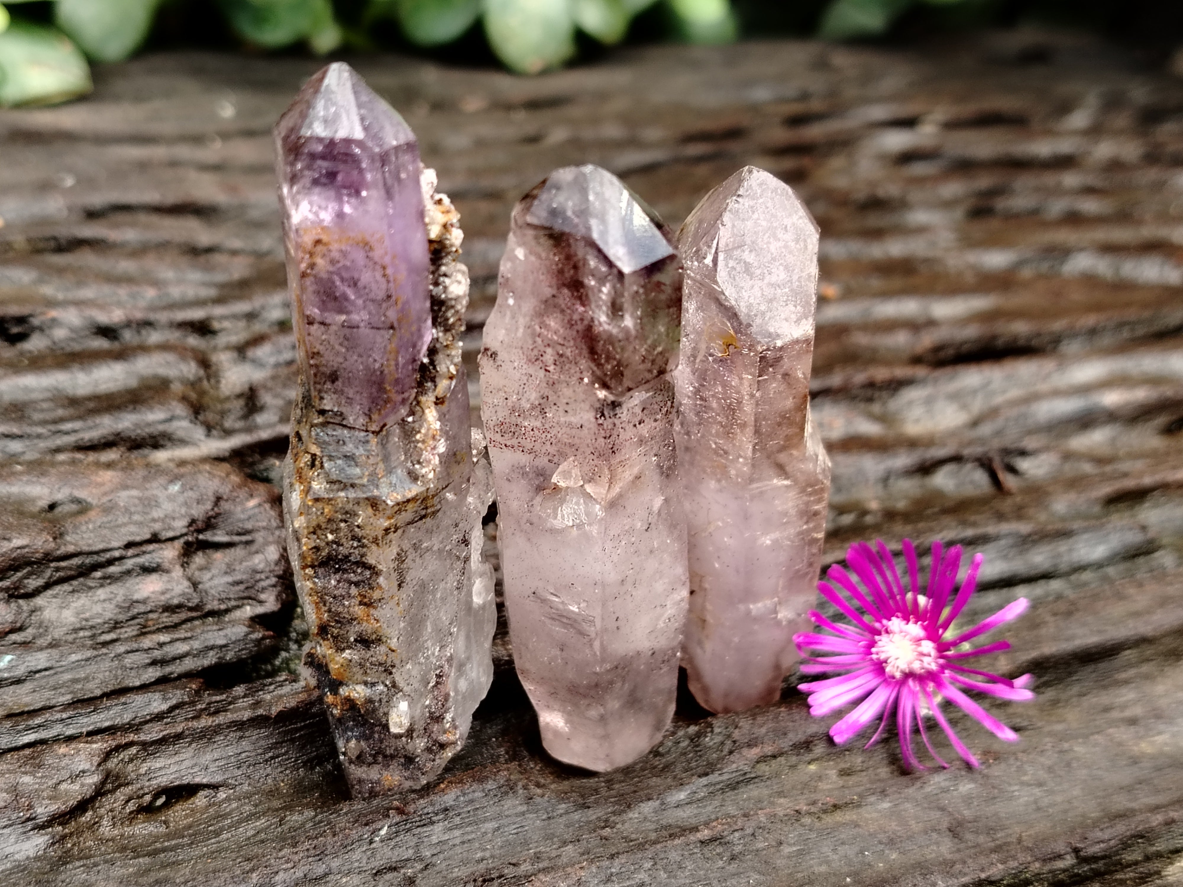 Natural Smokey Window Amethyst Crystals x 12 From Chiredzi, Zimbabwe