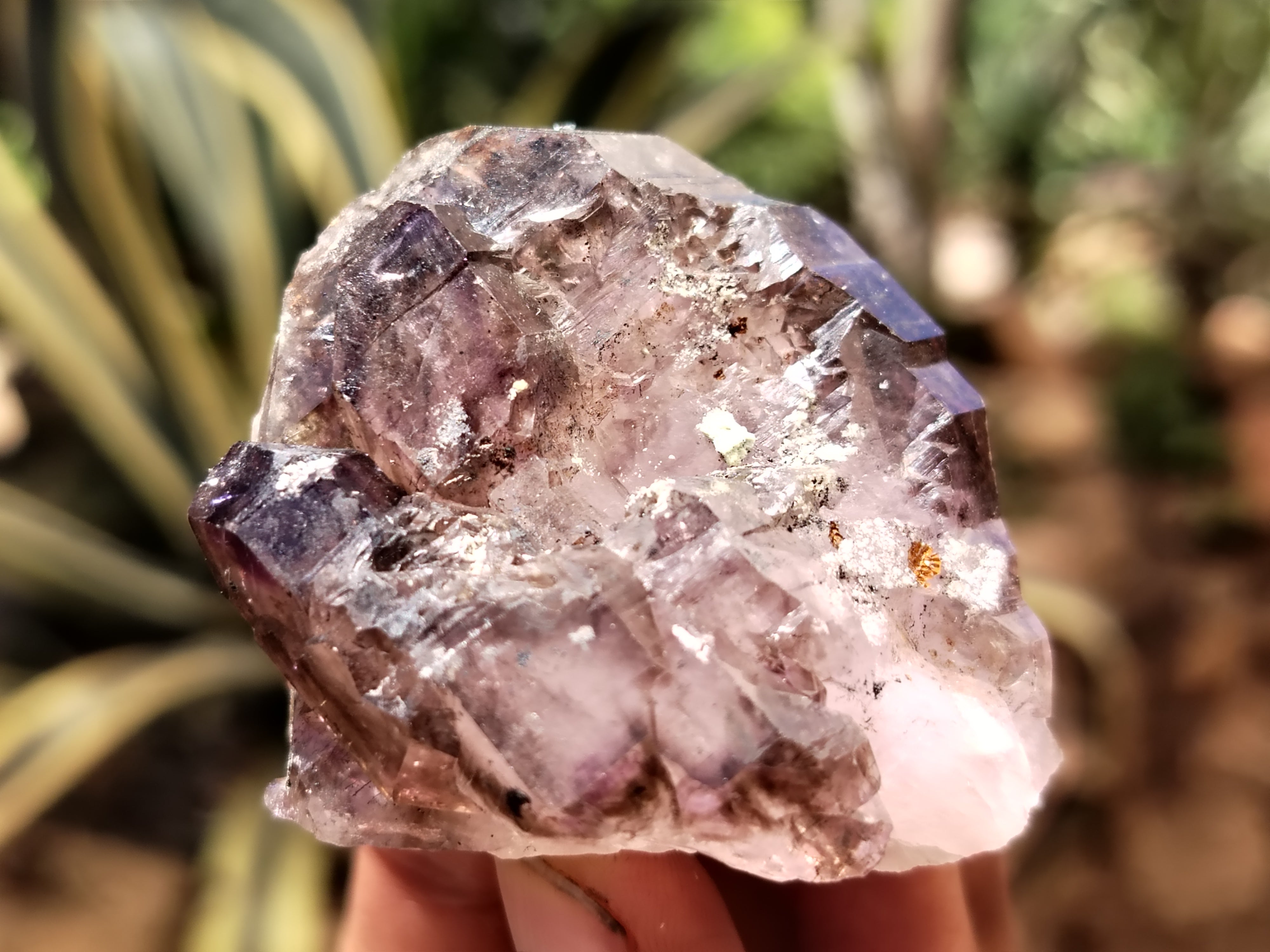 Natural Smokey Window Amethyst Crystals x 12 From Chiredzi, Zimbabwe