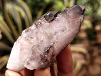 Natural Smokey Window Amethyst Crystals x 12 From Chiredzi, Zimbabwe