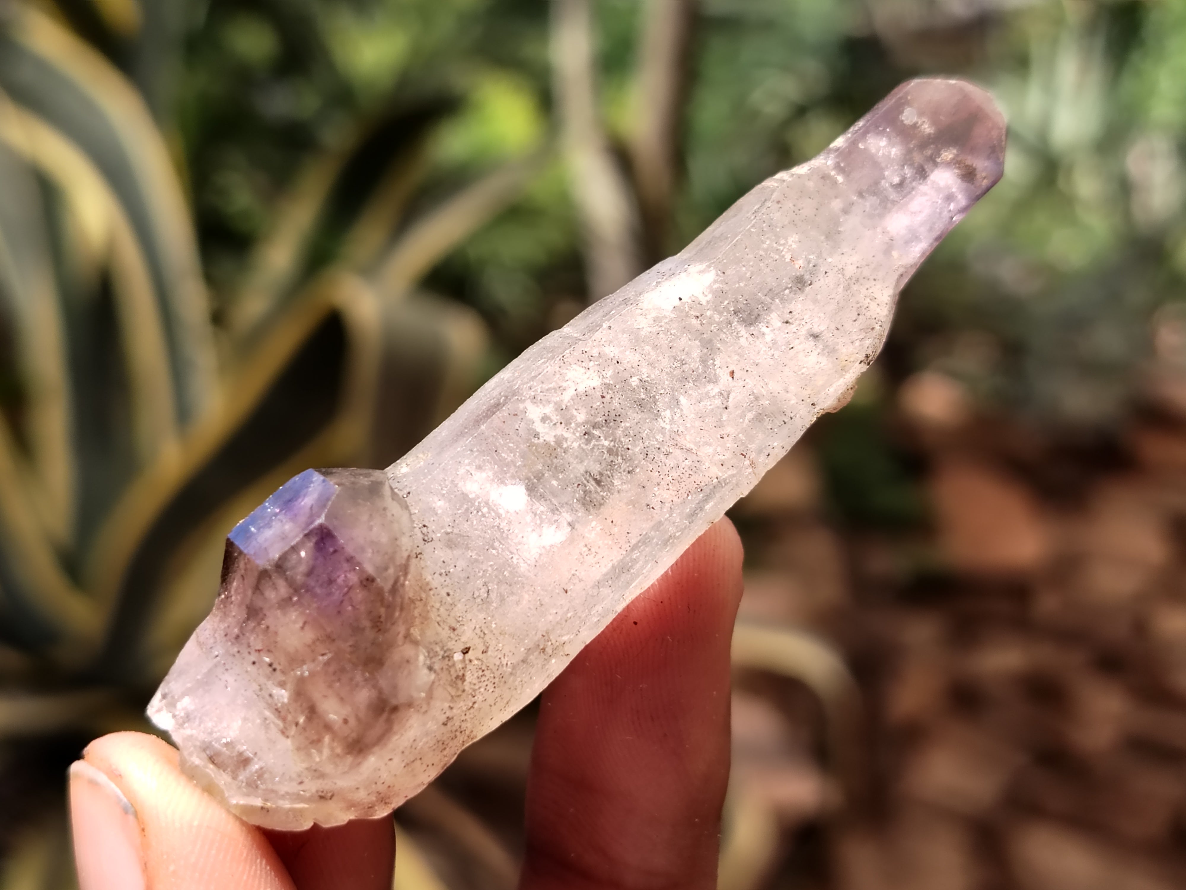 Natural Smokey Window Amethyst Crystals x 12 From Chiredzi, Zimbabwe