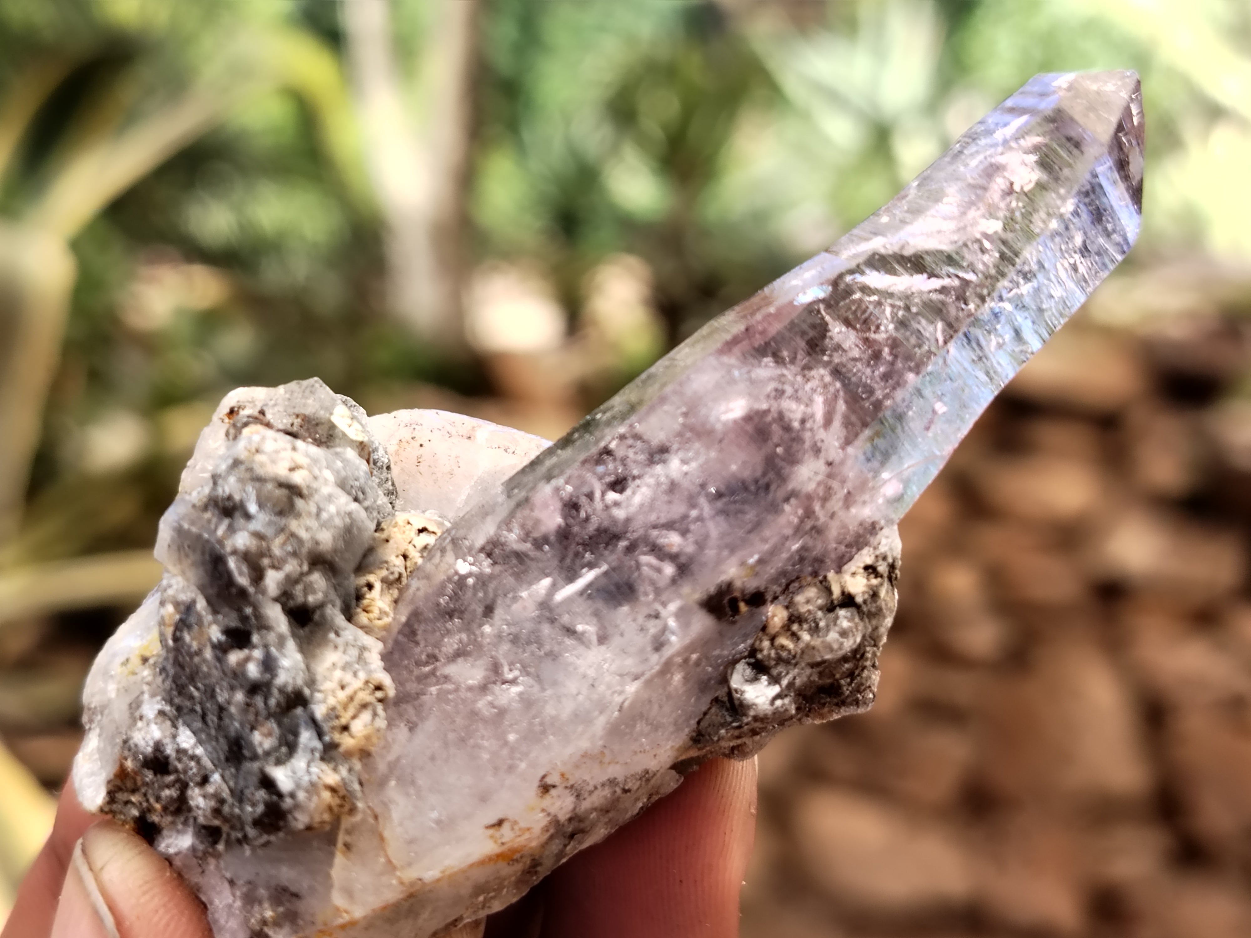 Natural Smokey Window Amethyst Crystals x 12 From Chiredzi, Zimbabwe