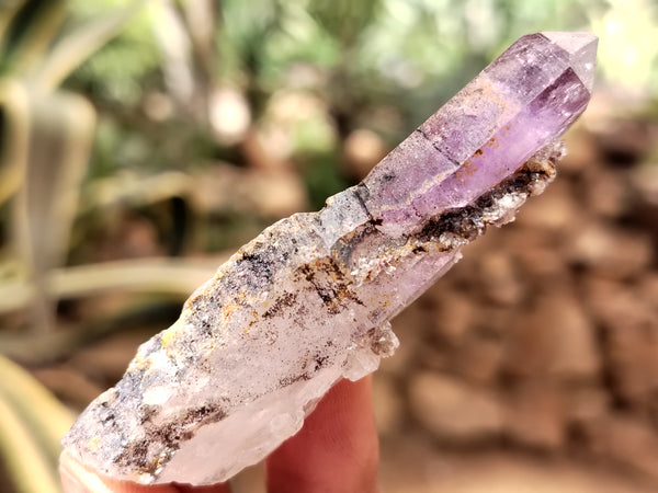 Natural Smokey Window Amethyst Crystals x 12 From Chiredzi, Zimbabwe