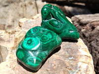 Polished Flower Banded Malachite Free Forms x 6 From Congo