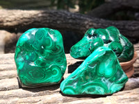 Polished Flower Banded Malachite Free Forms x 6 From Congo