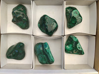 Polished Flower Banded Malachite Free Forms x 6 From Congo