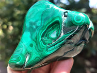 Polished Flower Banded Malachite Free Forms x 6 From Congo