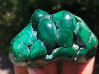 Polished Flower Banded Malachite Free Forms x 6 From Congo