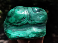 Polished Flower Banded Malachite Free Forms x 6 From Congo