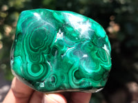 Polished Flower Banded Malachite Free Forms x 6 From Congo