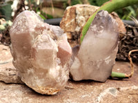 Natural Red Hematoid Quartz Clusters x 6 From Karoi, Zimbabwe