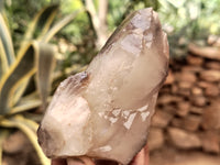 Natural Red Hematoid Quartz Clusters x 6 From Karoi, Zimbabwe