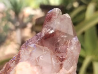 Natural Red Hematoid Quartz Clusters x 6 From Karoi, Zimbabwe