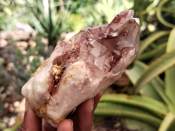 Natural Red Hematoid Quartz Clusters x 6 From Karoi, Zimbabwe