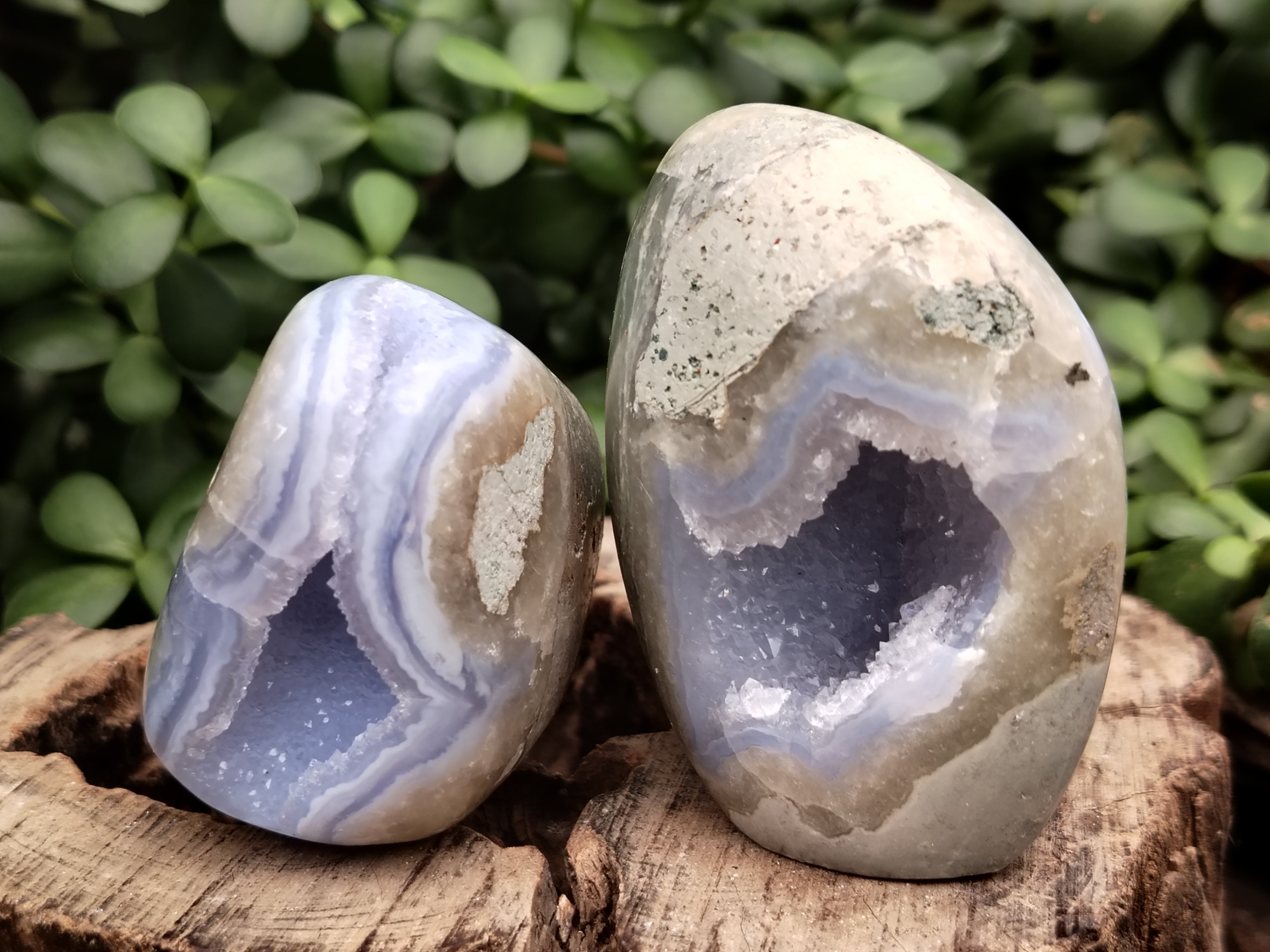 Polished Blue Lace Agate Geodes x 6 From Nsanje, Malawi