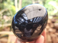 Polished Black Basalt Gemstone Eggs x 6 From Madagascar