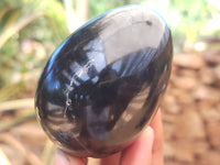 Polished Black Basalt Gemstone Eggs x 6 From Madagascar