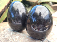 Polished Black Basalt Gemstone Eggs x 6 From Madagascar