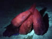 Natural Drusy Quartz Coated Calcite Pseudomorph Specimens x 35 From Alberts Mountain, Lesotho