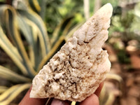 Natural Drusy Quartz Coated Calcite Pseudomorph Specimens x 35 From Alberts Mountain, Lesotho