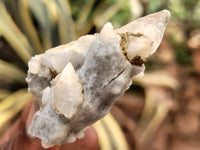 Natural Drusy Quartz Coated Calcite Pseudomorph Specimens x 35 From Alberts Mountain, Lesotho