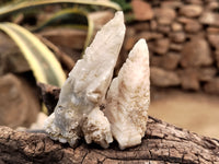 Natural Drusy Quartz Coated Calcite Pseudomorph Specimens x 35 From Alberts Mountain, Lesotho