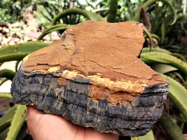 Polished Tigers Eye Specimens x 2 From Prieska, South Africa