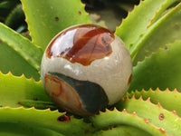 Polished Polychrome Jasper Spheres x 3 From Mahajanga, Madagascar