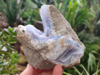 Natural Blue Lace Agate Geode Specimens x 2 From Nsanje, Malawi