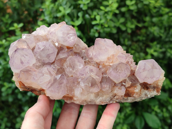 Natural Amethyst Spirit Quartz Clusters x 2 From Boekenhouthoek, South Africa