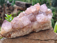 Natural Amethyst Spirit Quartz Clusters x 2 From Boekenhouthoek, South Africa