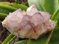 Natural Amethyst Spirit Quartz Clusters x 2 From Boekenhouthoek, South Africa