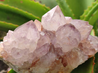 Natural Amethyst Spirit Quartz Clusters x 2 From Boekenhouthoek, South Africa