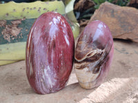 Polished Podocarpus Petrified Wood Standing Free Forms x 3 From Mahajanga, Madagascar