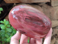 Polished Podocarpus Petrified Wood Standing Free Forms x 3 From Mahajanga, Madagascar