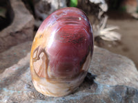 Polished Podocarpus Petrified Wood Standing Free Forms x 3 From Mahajanga, Madagascar