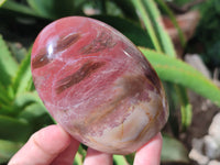 Polished Podocarpus Petrified Wood Standing Free Forms x 3 From Mahajanga, Madagascar