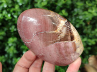 Polished Podocarpus Petrified Wood Standing Free Forms x 3 From Mahajanga, Madagascar