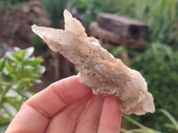 Natural Drusy Quartz Coated Calcite Pseudomorph Specimens x 12 From Alberts Mountain, Lesotho