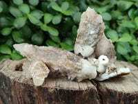 Natural Drusy Quartz Coated Calcite Pseudomorph Specimens x 12 From Alberts Mountain, Lesotho