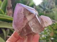 Polished Smokey Amethyst Window Quartz Crystals x 6 From Akansobe, Madagascar